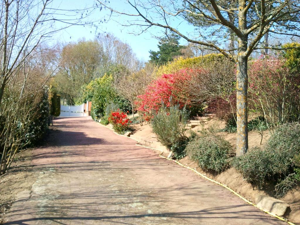Mas Du Trezon Bed & Breakfast Cholet Luaran gambar